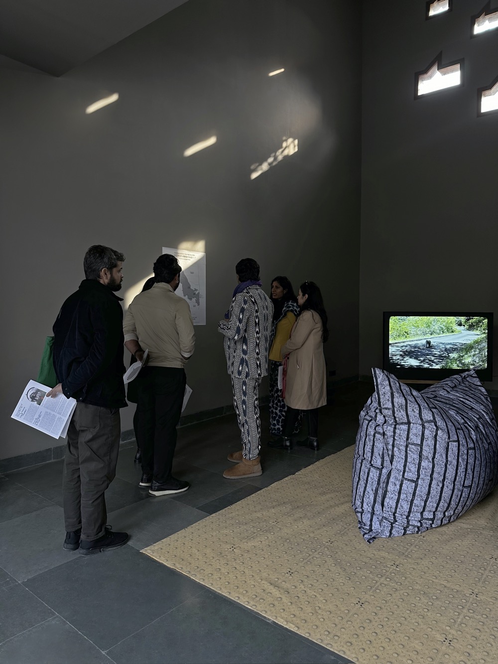 Don't_follow_the_wind_2024_Pollinator_11