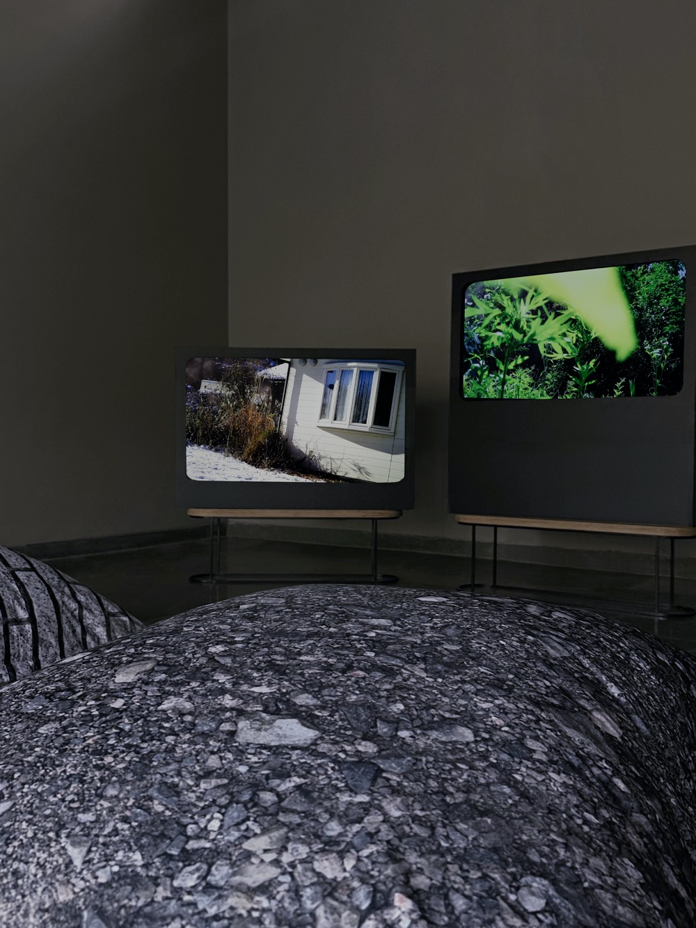 Don't_follow_the_wind_2024_Pollinator_2