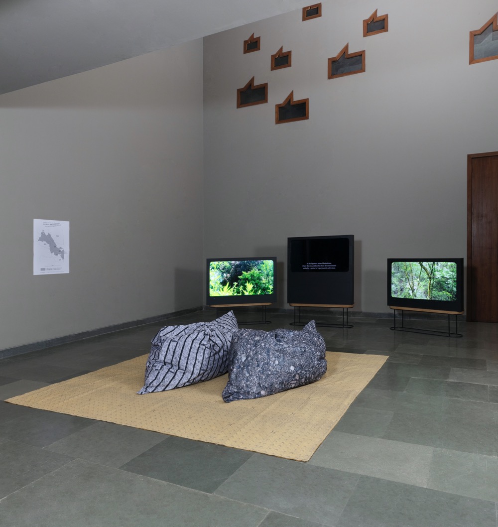 Don't_follow_the_wind_2024_Pollinator_3