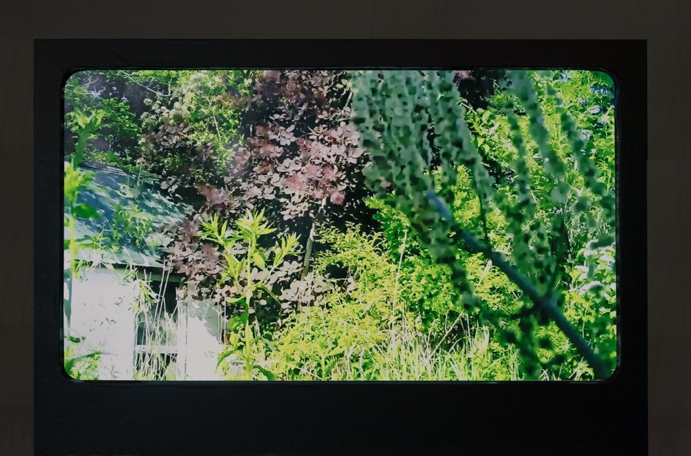 Don't_follow_the_wind_2024_Pollinator_4