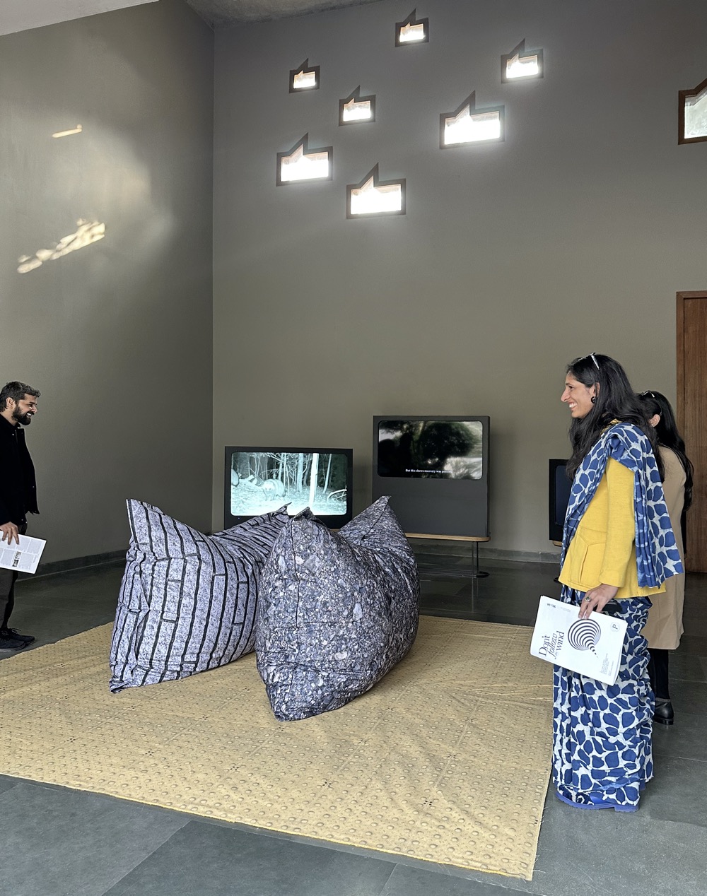 Don't_follow_the_wind_2024_Pollinator_9