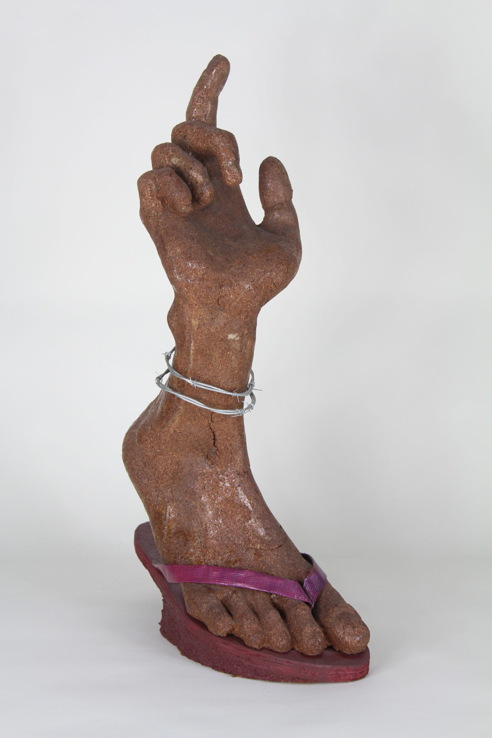 Andrew   |   andrewralte21@gmail.com