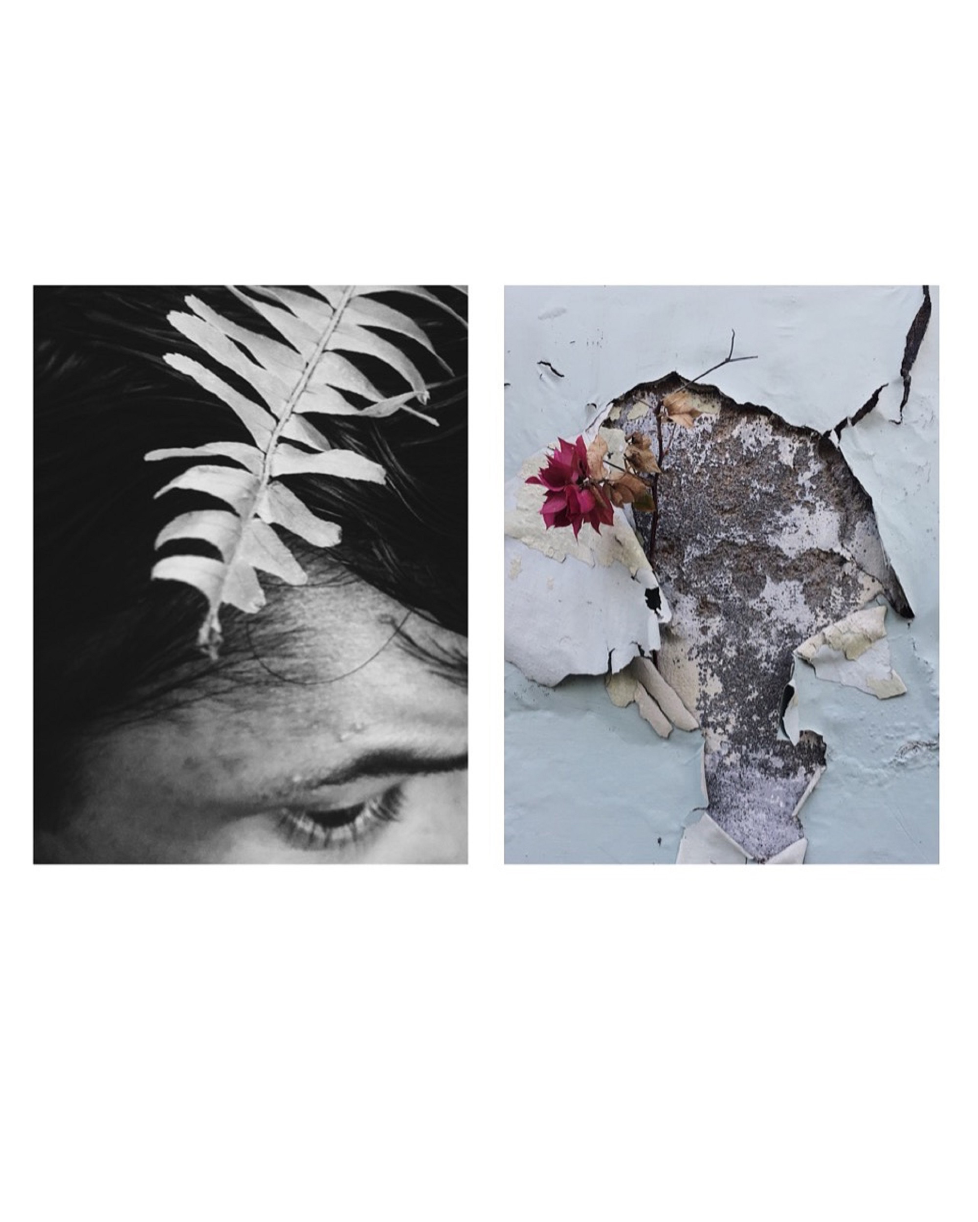 Ashima Raizada    |    ashraizada@gmail.com