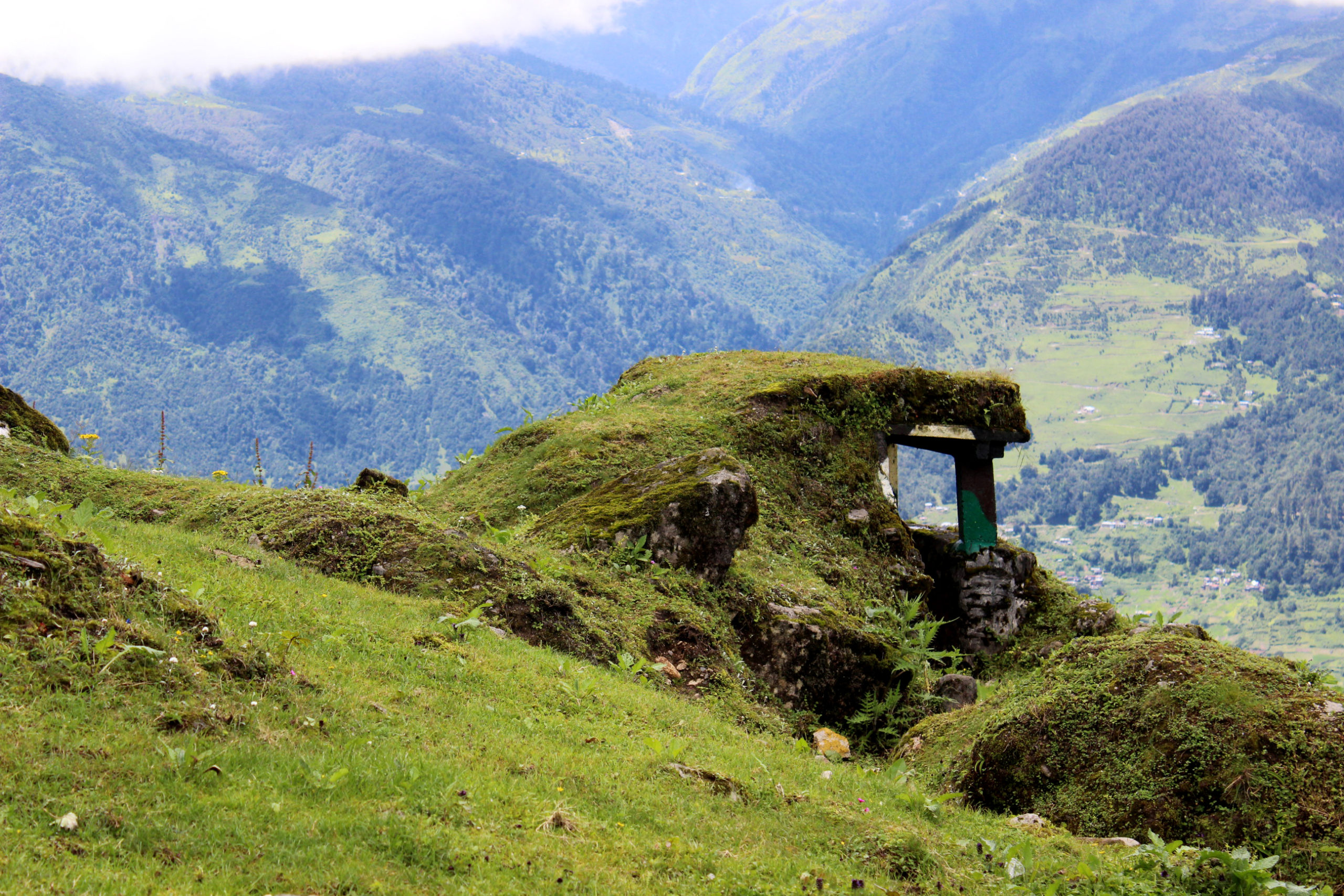 Ayush  |   
ayush002994@gmail.com