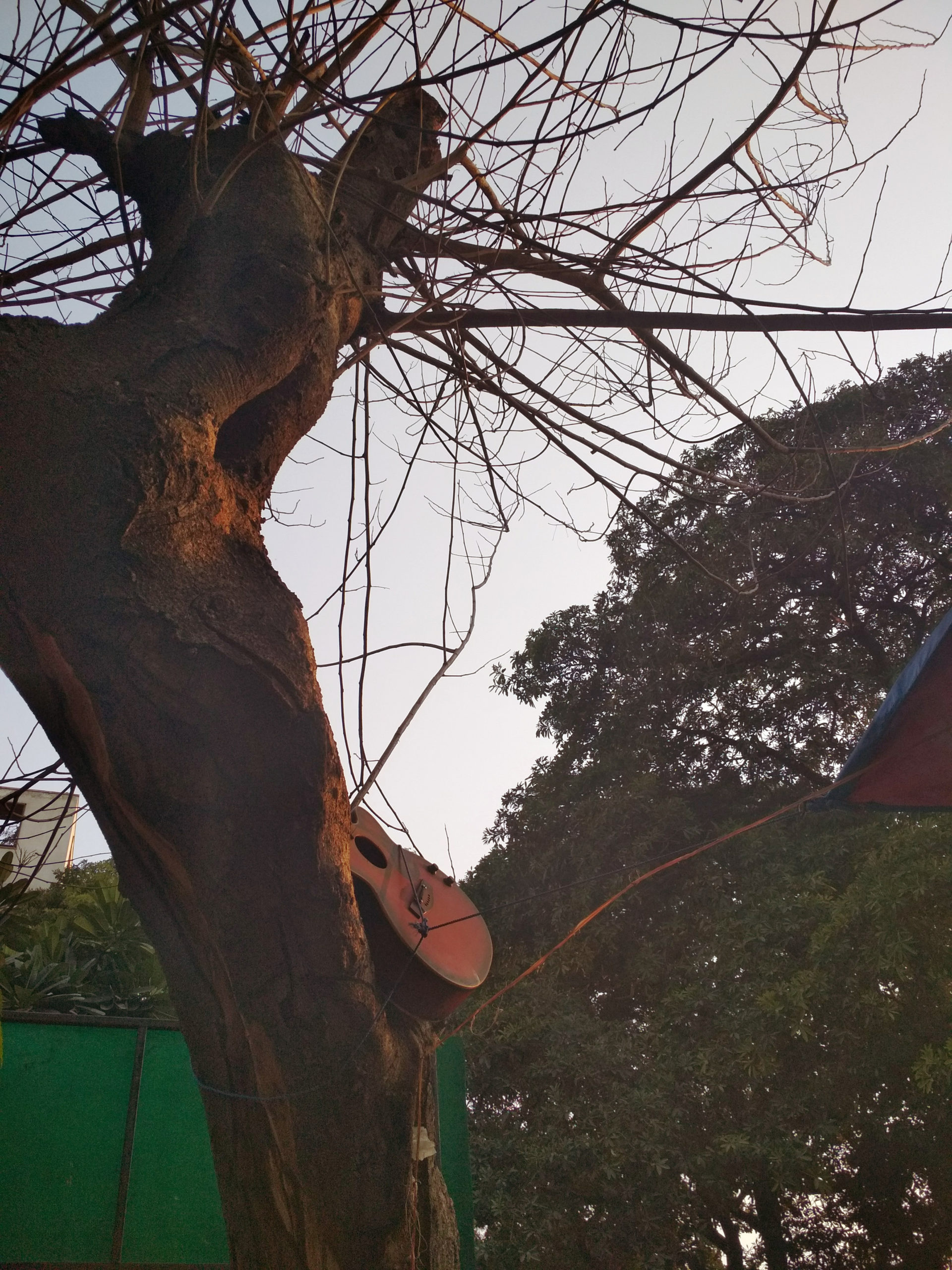 Georgina Maddox.  |.  
gm39682@gmail.com