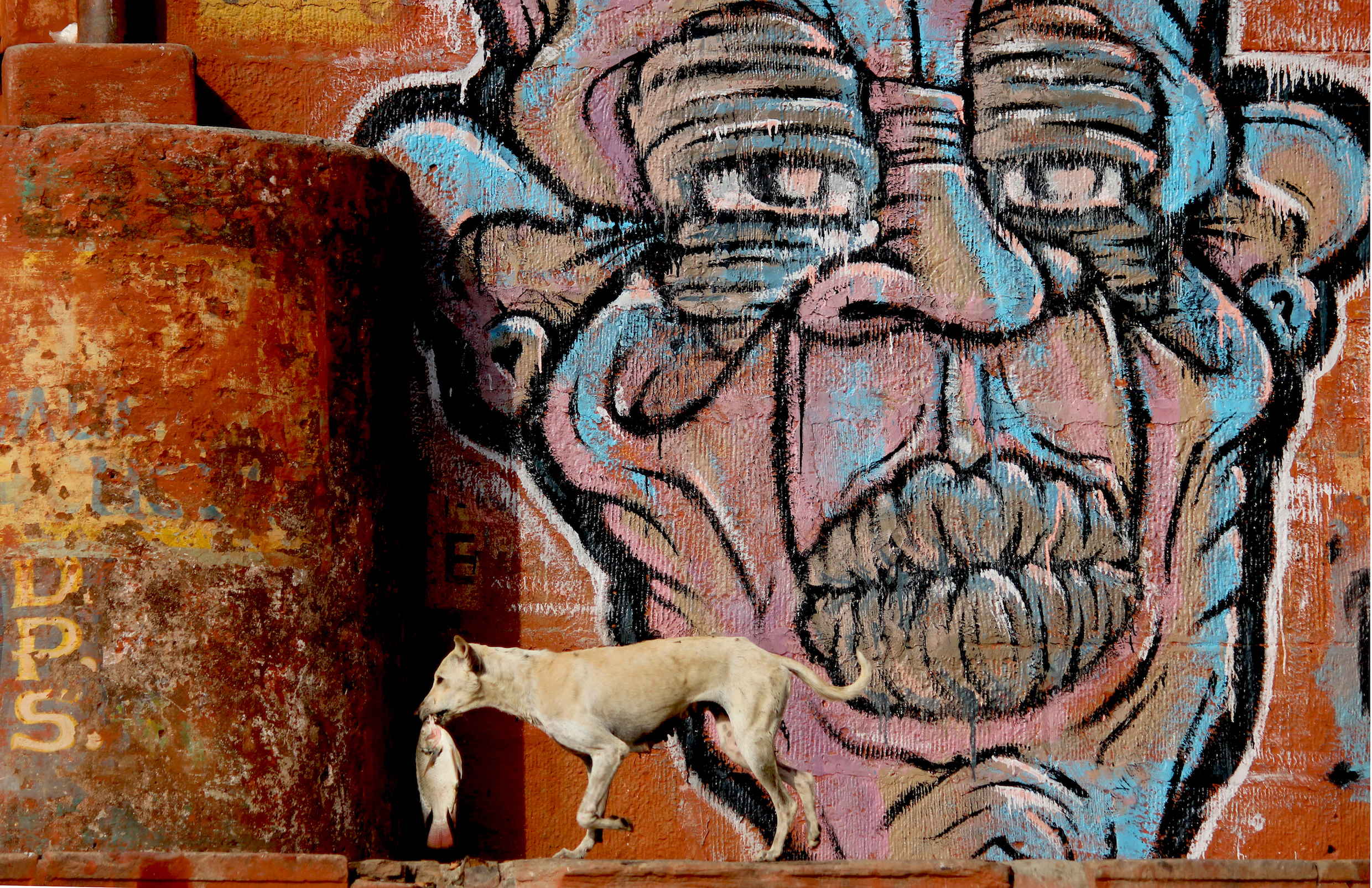 Sharad Shrivastav.  |.  sharad.shrivastav28@gmail.com